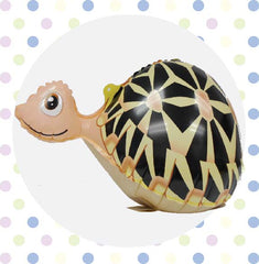 Animal - Turtle - Papamama.sg